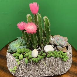 Succulent planter with a cactus and bright pink blooms in a bark-textured container