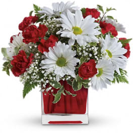 Red carnations and white daisies in a red glass vase