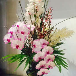 Tall orchid arrangement in a dark vase with pink and white blooms