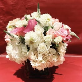 Pink and white floral arrangement in a dark vase on a red background