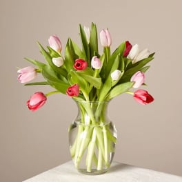 Budding Romance Tulip Bouquet Original With Vase
