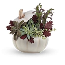 White pumpkin-shaped container with succulents and autumn foliage