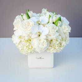 White roses and orchids arranged in a square white vase