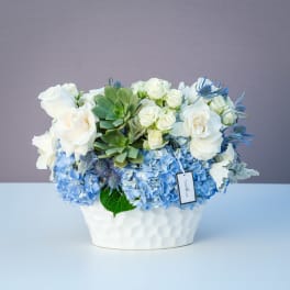White roses and blue hydrangeas in a white vase