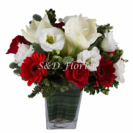 Red and white flowers arranged in a square glass vase