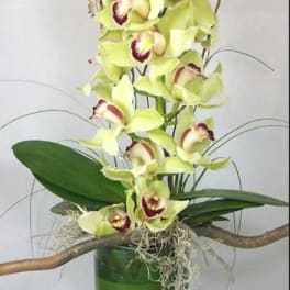Tall green orchid arrangement in a glass vase with decorative branches