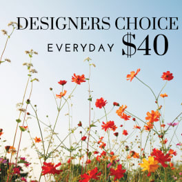 Wildflower field with red, orange, pink, and yellow blooms under text reading Designers Choice Everyday $40