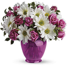Pink roses and white daisies in a purple vase