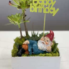 Succulent planter with a reclining gnome and a happy birthday topper