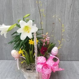 Blooming Bulb Basket