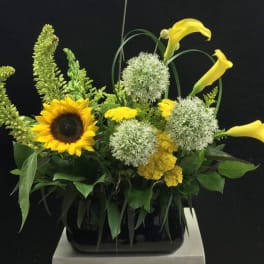 Yellow calla lilies and a sunflower in a black vase