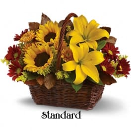 Basket arrangement with yellow lilies, sunflowers, and red daisies