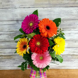 Colorful gerbera daisy bouquet in a glass vase with plaid ribbon