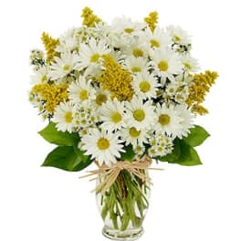 White daisies and yellow filler flowers in a glass vase
