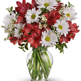 Bouquet of red alstroemeria and white daisies in a clear glass vase