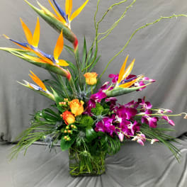 Tropical flower arrangement with bird of paradise, orchids, and roses in a glass vase