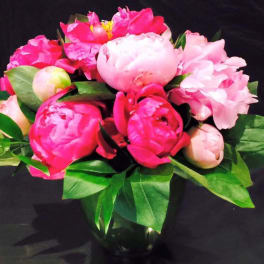 Pink peonies arranged in a dark vase with green leaves