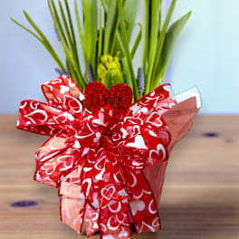 Potted plant wrapped with a red heart ribbon and a glittery heart topper