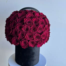 Round arrangement of deep pink roses in a black box
