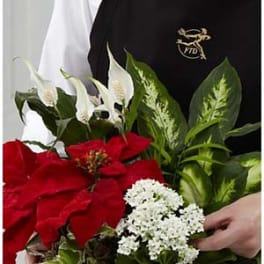 Bouquet with red poinsettias, white peace lilies, and white flowers