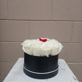 White roses with one red rose in a black round box