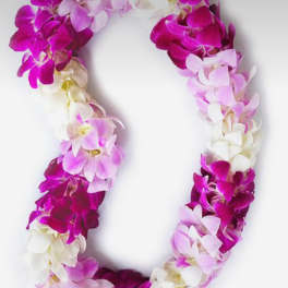 Pink, purple, and white orchid lei on a white background