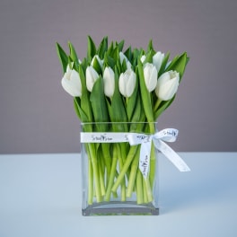 White tulips in a clear glass vase with a white ribbon