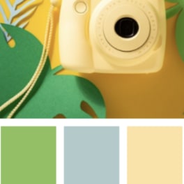 Yellow instant camera with green paper leaves on a bright background