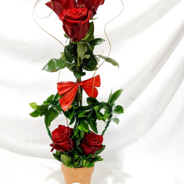 Tall arrangement of red roses in a terracotta pot with a red bow