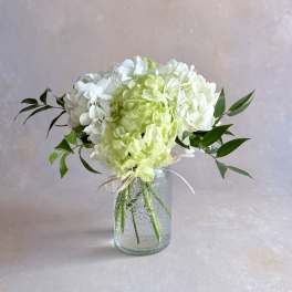 Simply Spring Hydrangeas