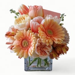 Peach and cream gerbera daisies, roses, and tulips in a clear glass cube vase with a small card.