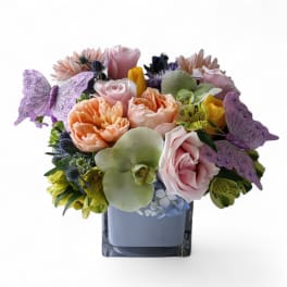 Pastel bouquet of roses, orchids, and mixed flowers in a cube vase with purple butterfly accents