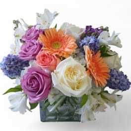 Low mixed bouquet of pastel roses, gerbera daisies, alstroemeria, and blue hyacinths in a glass cube vase.