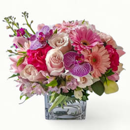 Compact arrangement of pink roses, gerberas, and purple orchids in a clear glass cube vase