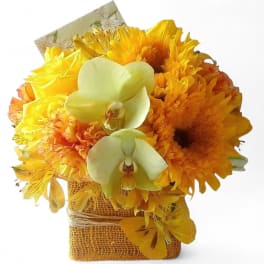 Yellow and orange bouquet with white orchids in a burlap-wrapped container