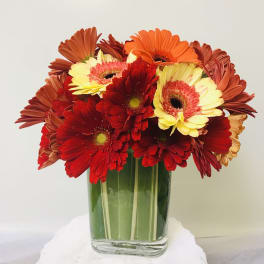 Bouquet of red, orange, and yellow gerbera daisies in a glass vase