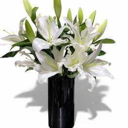 White Lily Elegance