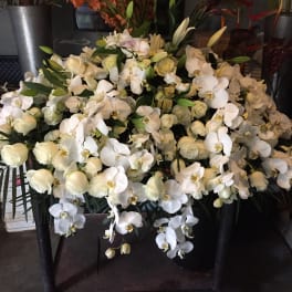 Large white orchid and rose arrangement in a black container
