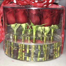 Red roses arranged in a clear round box with a red ribbon