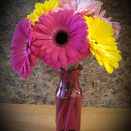 Pink and yellow gerbera daisies in a pink glass vase