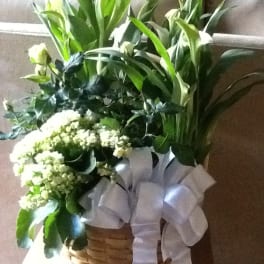 White floral arrangement in a wicker basket with a white ribbon