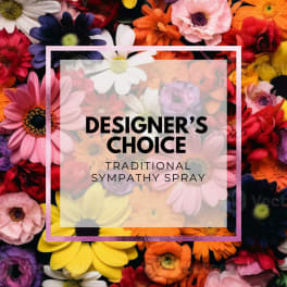 Colorful daisy-like flowers with text reading designer's choice traditional sympathy spray