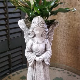 Angel statue planter with white peace lilies