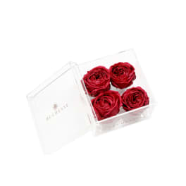 Four red roses in a clear acrylic box
