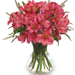 Pink alstroemeria bouquet in a clear glass vase