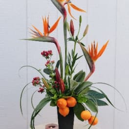 Tall tropical flower arrangement with orange bird-of-paradise blooms in a black vase