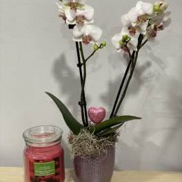 White orchids in a purple pot beside a pink candle jar