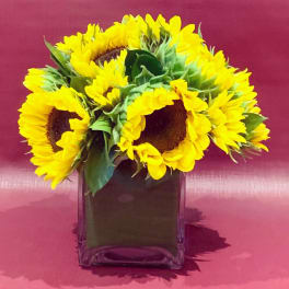 Sunflower bouquet in a square glass vase
