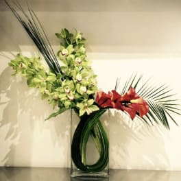 Green and red orchid arrangement in a clear glass vase