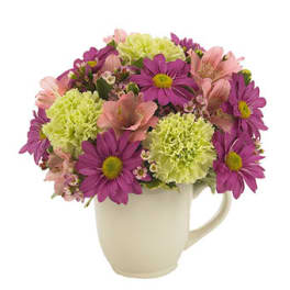 Compact mix of purple daisies, green carnations, and pink blooms arranged in a white mug